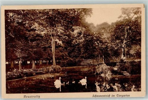 Neustrelitz Schwanenteich im Tiergarten