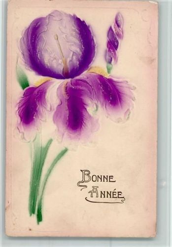 1909 Bonne Annee - Große Blume AK
