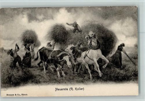 Verlag Brunner & Co , Heuernte, Landwirtschaft - , gute Erhaltung