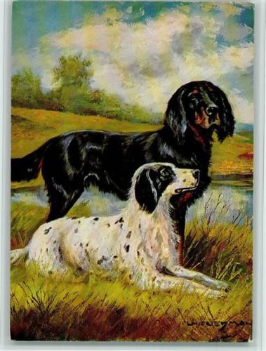 Jagdhunde, Setter - sign Hans Friedmann - Wiechmann Nr. 9203 - gute Erhaltung