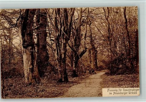 Neuenburg 1910 Neuenburger Urwald - Fussweg für Spazierganger