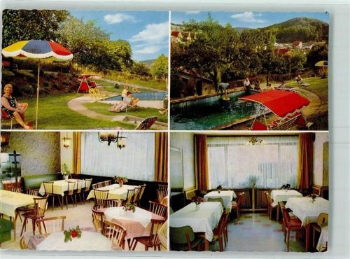 Gadernheim Pension Erbacher Hof Gastraum Garten Schwimmbad
