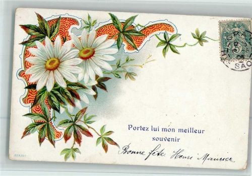 Jugendstil - Blüten u. Ornamente 1906 AK