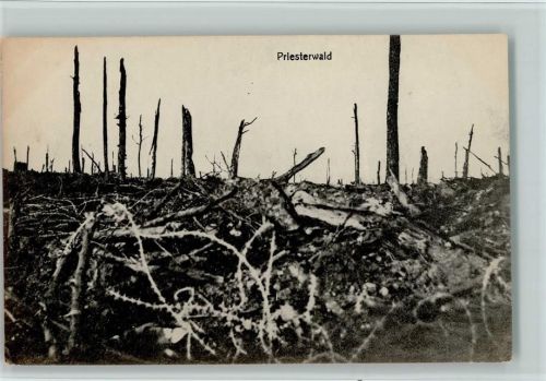 Priesterwald AK