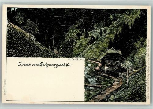 Schwarzwald - Künstlerkarte Nr. 5 - Verlag Velten - sehr gute Erhaltung AK