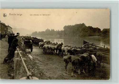 1915 WK I Armee belge - Les chevaux a I`abreuvoir - Pferde der Artillerie