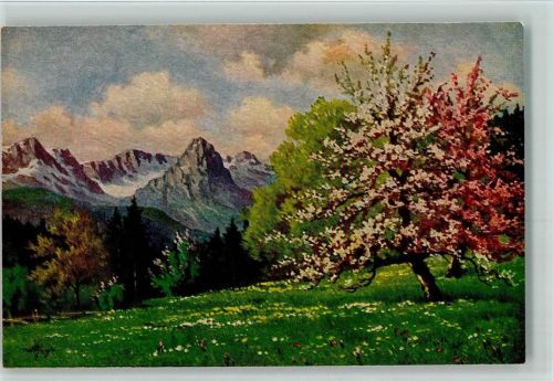 Nr. 1272 von W. Hoy - Frühling im Gebirge