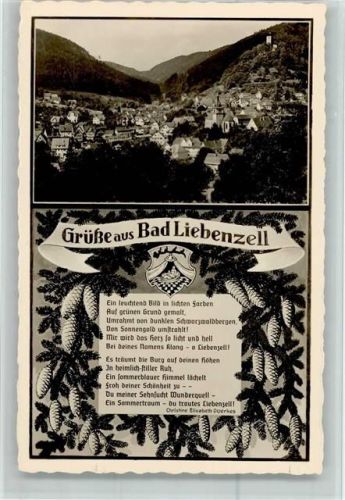 Bad Liebenzell Ortsansicht Gedicht Christine Elisabeth Doerkes Tannenzweige