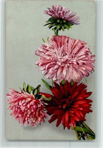 1917 Photochromie Serie 535 Nr. 1086? Blumen AK