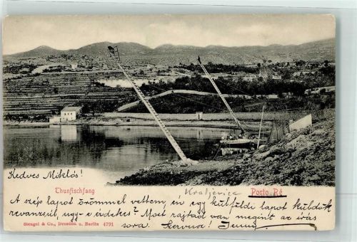 Kraljevica 1911 Thunfischfang Porto Re