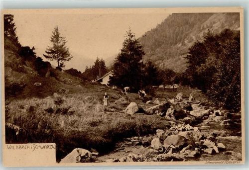 Wildbach im Schwarzwald Idylle Nr 41