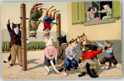 Nr. 4671 Edition Max Künzli - Katze Turnen AK