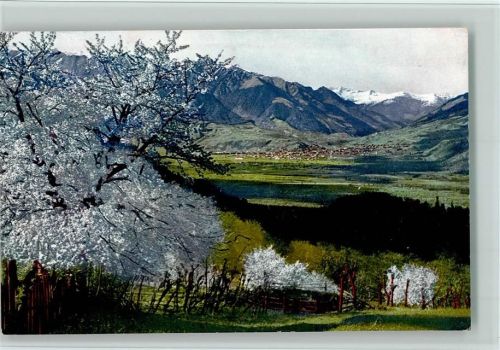 Serie 145 Nr. 2716, Obstblüte in Tirol , gute Erhaltung AK