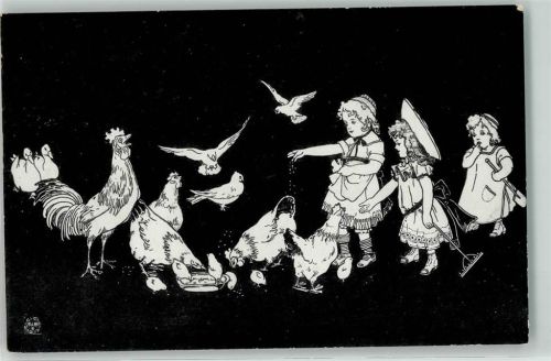 Hühner Hahn Küken Tauben Fütterung GänseNr 1723/3