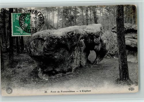 Fontainebleau Foret de Fontainebleau . Elefant