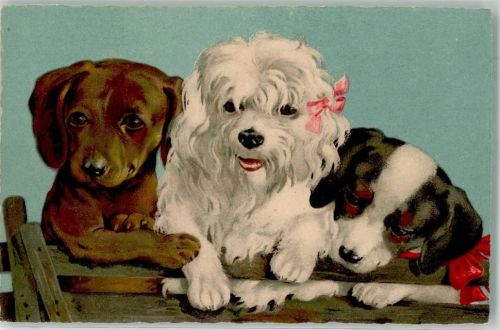 Kleine Hunde