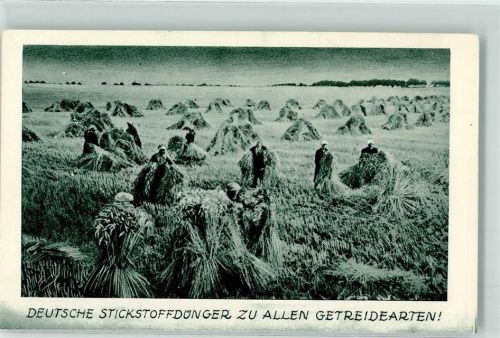 Stickstoffdünger zu allen Getreidearten Landwirtschaft Ährenernte