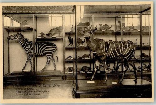 Kinshasa Museum