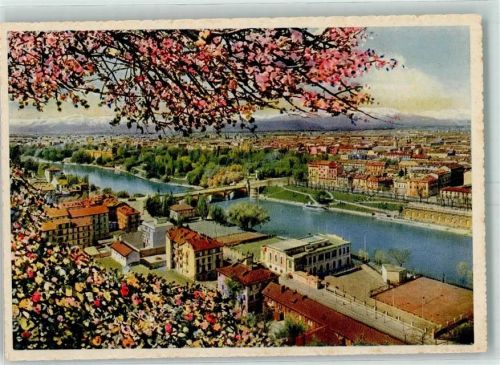 Torino Panorama con la Catena delle Alpi