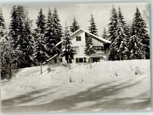 Todtmoos Pension Bergfried Winter Schwarzenbach