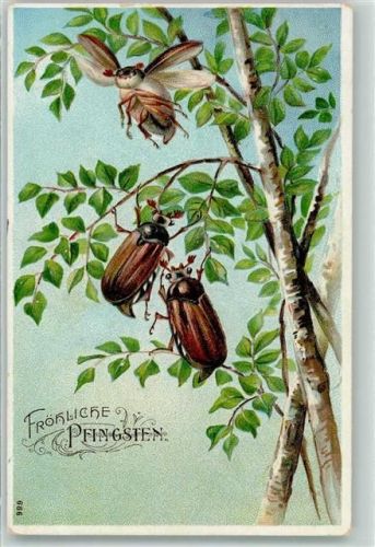 1911 Birkenbaum Pfingsten AK