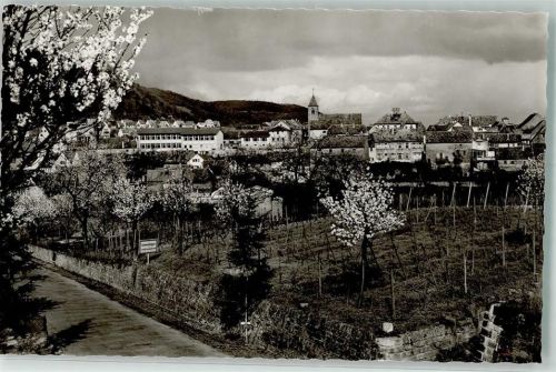 67433 W6730 Gimmeldingen Foto AK