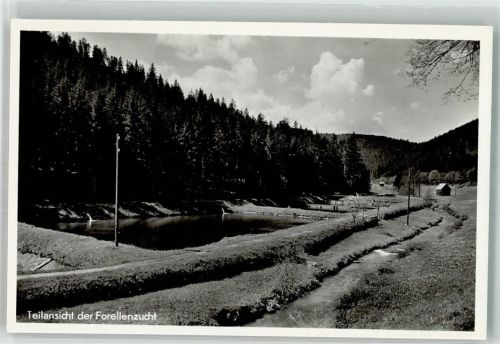 Altensteig Volmesmühle Fischteiche Forellenanzucht