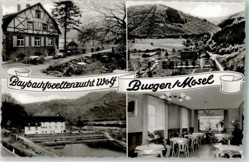 Burgen Baybachforellenzucht
