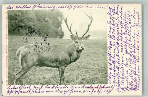 Hirsch Verlag Bayerle Nr. 13 Waidmannsgruss + Adelskorrespondenz
