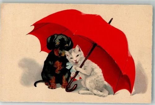 Serie 1943 Unter einem Dach , Katze Hund Regenschirm