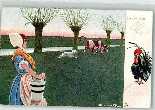 1905 Oilette Serie 763 A waiting Maid Hund Kuh Holland Tracht sign. Crow