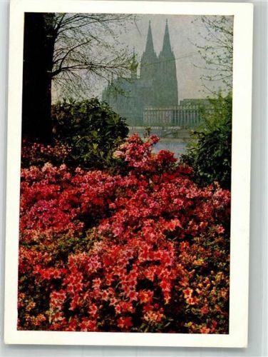 Köln Altstadt-Nord 103 1957 Ausstellung Bundesgartenschau Kölner Dom