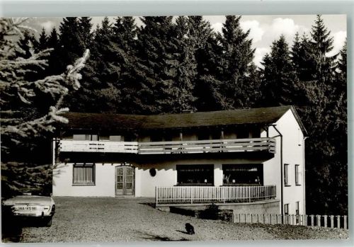 Schwalefeld Gästehaus zur Hirtenwiese Dackel Ford