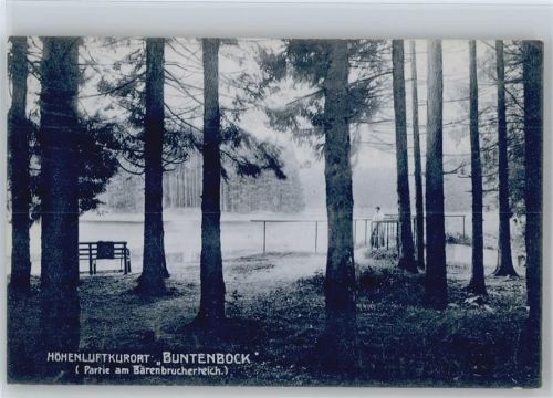 Buntenbock Bärenbrucherteich