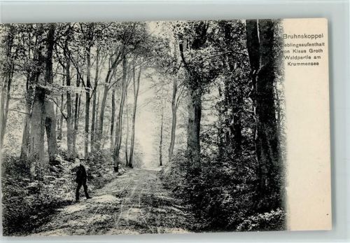 Bruhnskoppel Waldpartie am Krummensee