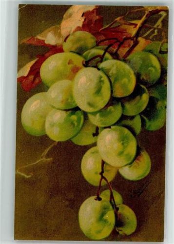 1924 Nr. 533 Weintrauben Früchte