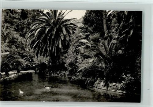 Palma Jardines de Alfabia El Lago