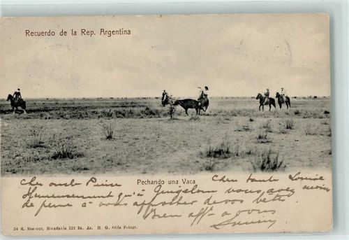 Pechando una Vaca