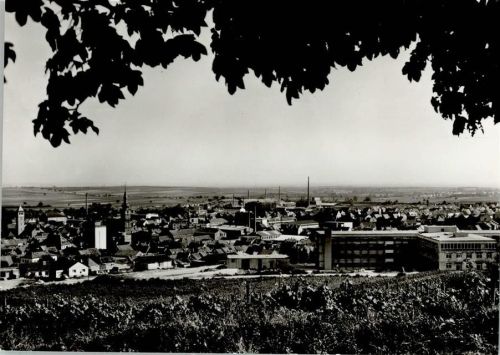 Grünstadt Teilansicht mit Krankenhaus