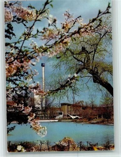 Karlsruhe 1967 Bundesgartenschau Blüten am See Aussichtsturm und Schwarzwaldhalle