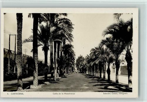 Cartagena Calle de la Maestranza Palmen