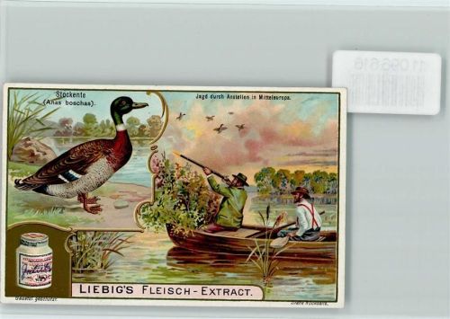 Liebig Sammelkarte - Jagd auf Wildenten