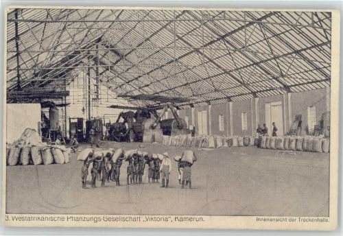 1914 AK Westafrikanische Pflanzungs Ges. Viktoria Kamerun - Trockenhalle -