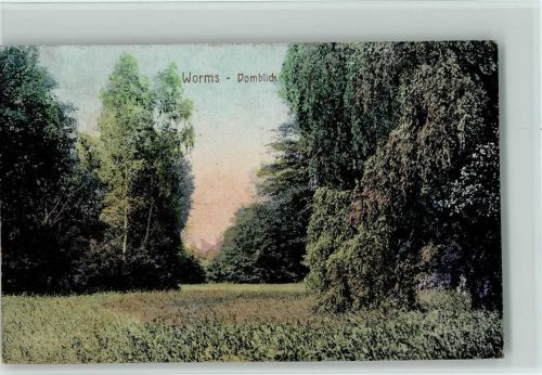 Worms Domblick