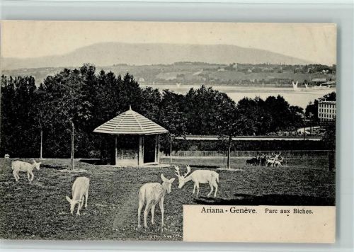 Genève 1910 Ariana - Park aux Biches - Tierpark