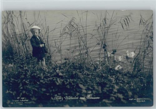 Prinz Wilhelm schaut den Enten am See zu, Original-aufnahme Berger Nr. 2131 Foto AK
