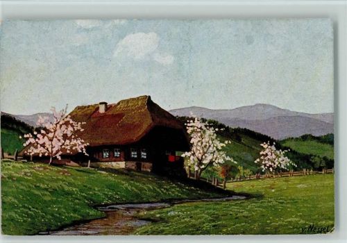 Schwarzwaldhäuser , Moos Serie V Nr. 10 AK Nessel