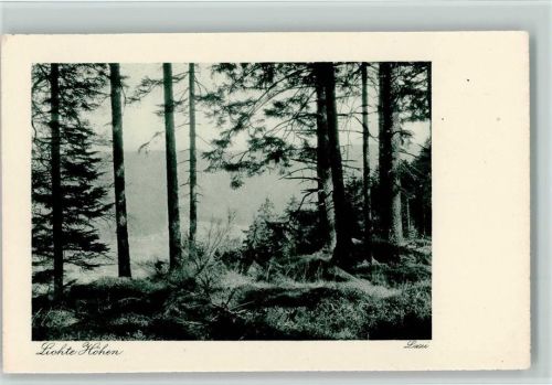 Lazi Nr. 386 AK Lichte Höhen ca 1927 AK