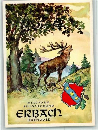 Erbach Wildpark Brudergrund röhrender Hirsch Wappen Eichenlaub