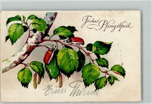 Pfingsten - Maikäfer auf einer Birke 1940 AK